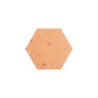 Dimensions tomettes hexa