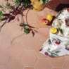 Tomette hexagonale naturelle - 16x18x1