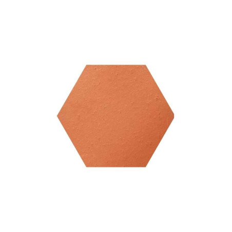 Tomette hexagonale naturelle - Versailles