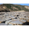 Pierre de parement naturelle quartzite argent doré lumineux et durable