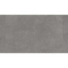 Elegance Rigid 55 Polished Concrete STEEL 280008020