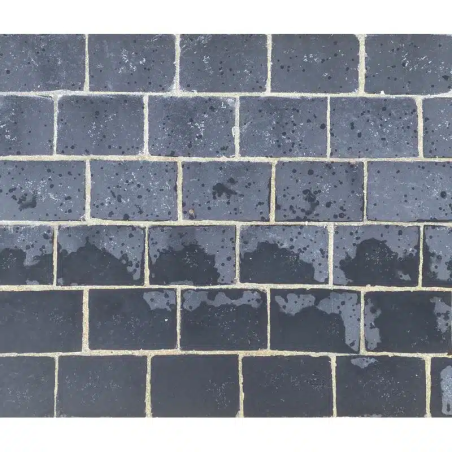 Pavé calcaire noir