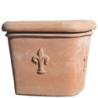 pot lys