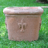 pot lys 2