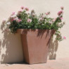 vase nibel