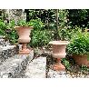 vase medici puro 3