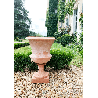 vase medici puro 4