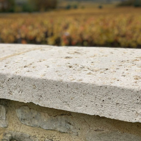 Dessus de mur ancien