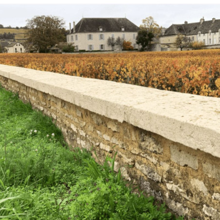 Dessus de mur rustique vieilli en pierre reconstituée