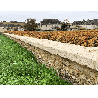 dessus mur rustique vieilli 2