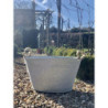 bassin jardin 4