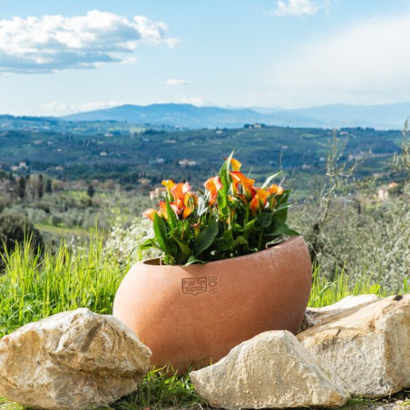 Vase Acqua