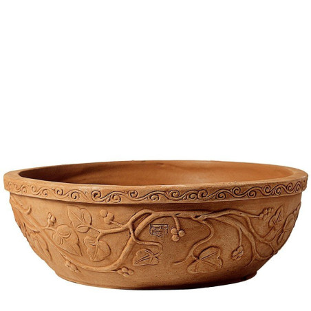 Pot lierre