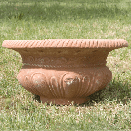Coupe Baccellato
