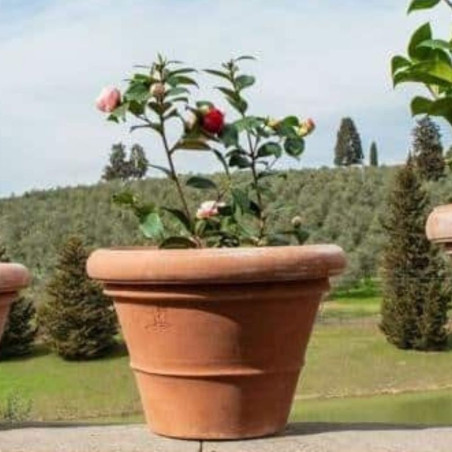 vase lisse format moyen