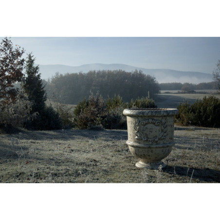 Vase provençal élégance ivoire