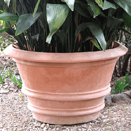 Vase à Anneaux
