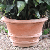 vase anneaux