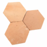 tomette tradi hexagonale claire 2