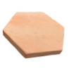 tomette tradi hexagonale claire 3