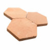 tomette tradi hexagonale claire 4
