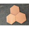 tomette tradi hexagonale claire 5