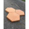 tomette tradi hexagonale claire 6
