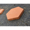 Échantillon de tomette tradi hexagonale rose restauration