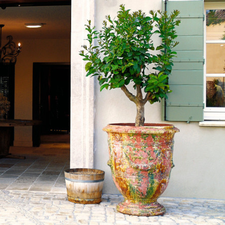 Vase guirlande email authentique
