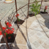 Carrelage en travertin deuxième choix ( naturel ) - 61 cm x 40
