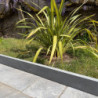 Bordure en ardoise d'1m de long