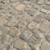 Pave-du-perigord-4