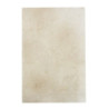 Packshot du dallage cremastern sur fond blanc