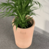 pot conique haut 5