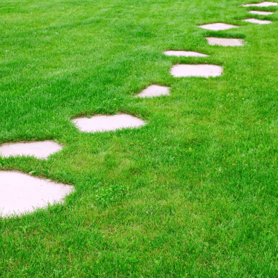 Comment poser des pas japonais sur du gazon ?