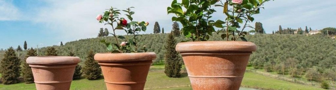 Élément fort de votre décoration, le vase en terre cuite : comment l'entretenir ?