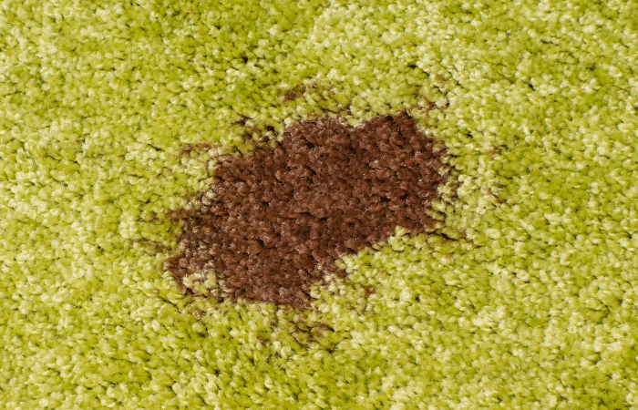 Astuces : comment enlever une vieille tache de sa moquette ?