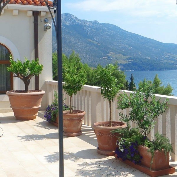 8rqgV-6gzPz pot guirlande fruitée 3