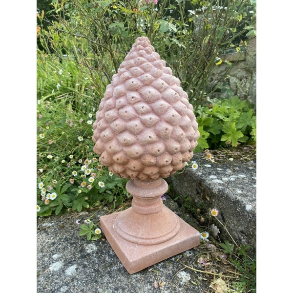 DgoJh-FlKLv pigne sur pied 2