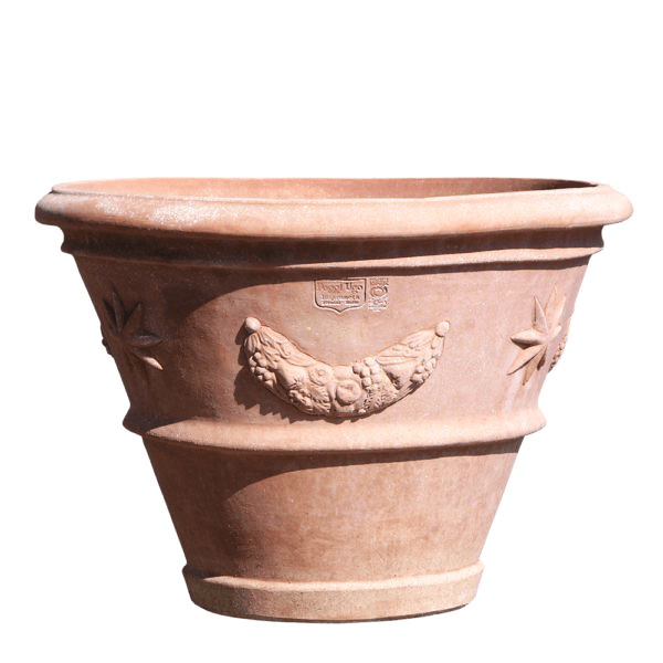 uCeZJ-nWm8G vase étoilé 2