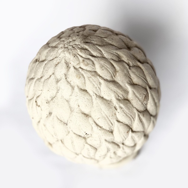 ykAvH-5soZf pigne artichaut 2