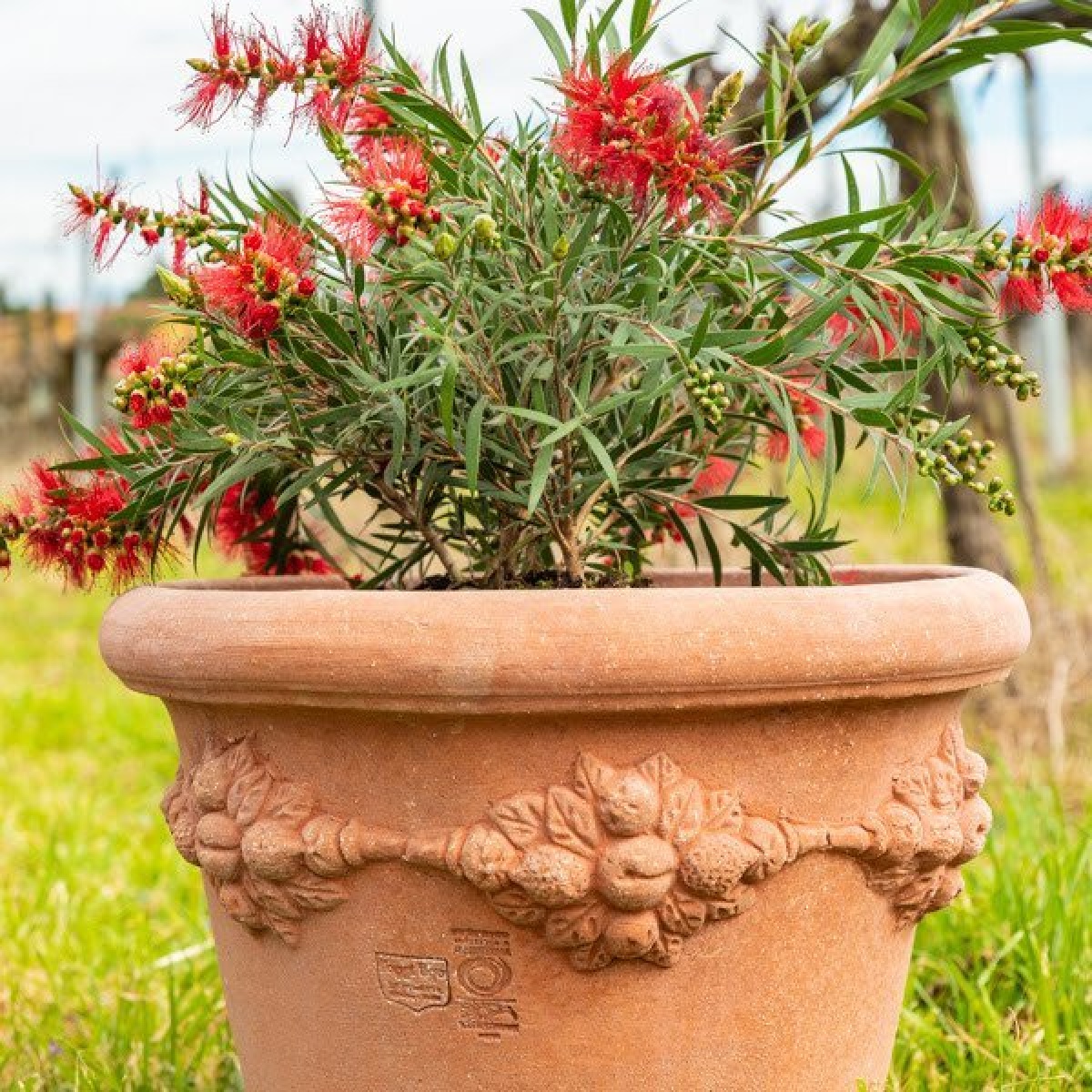 pot guirlande fruitée