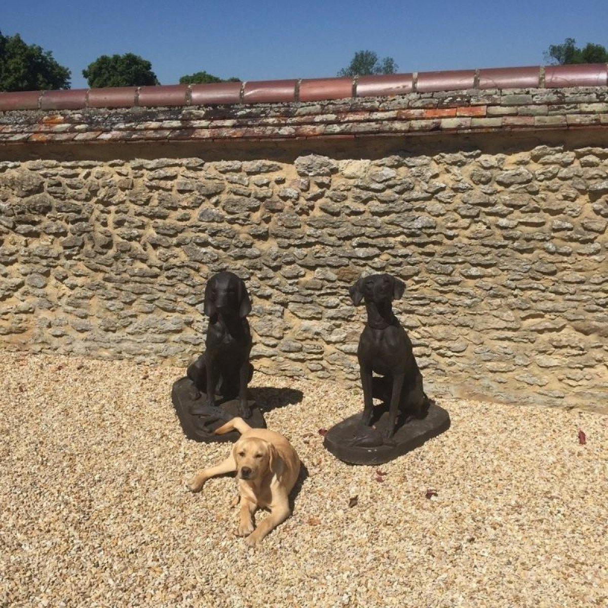 statues de chiens de chasse dans un jardin avec un labrador allongé à côté