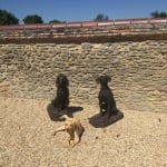 statues de chiens de chasse dans un jardin avec un labrador allongé à côté