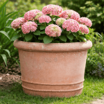 vase en terre cuite extérieur Bugnolo avec hortensia en fleur