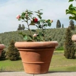 vase lisse format moyen