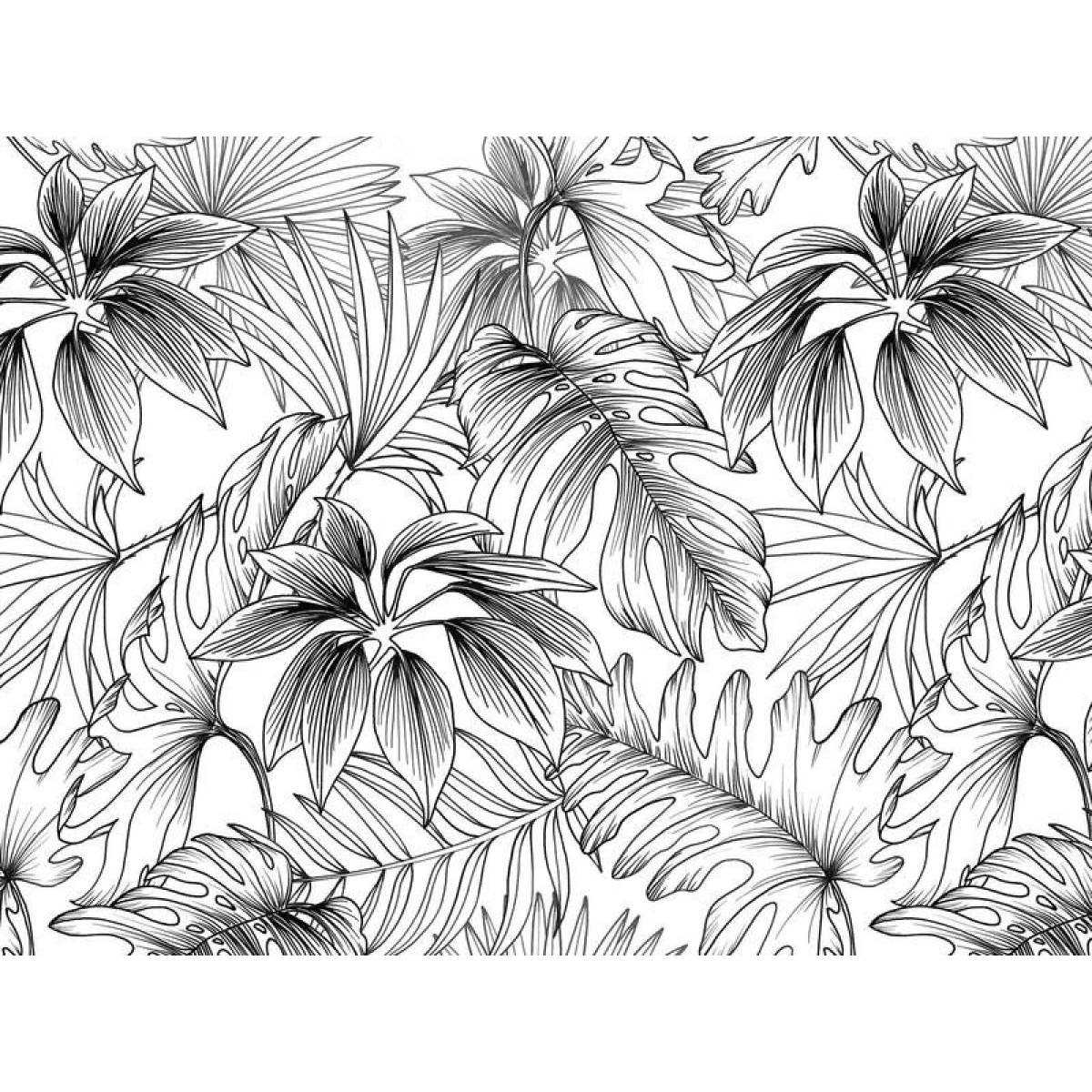 papier peint jungle barnett – black & white 2