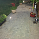 pave-kandla-gris