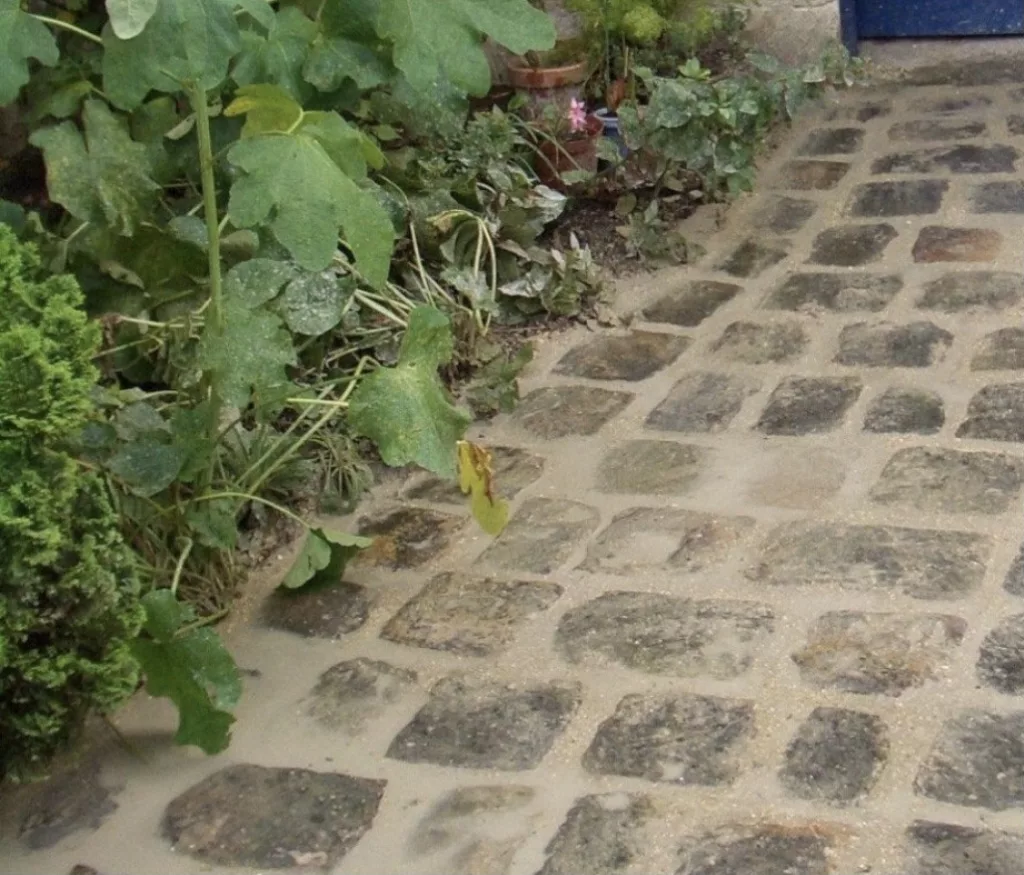 Pavés de jardin pour une allée