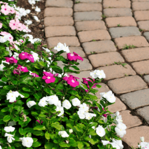 allée en pavés de jardin